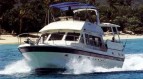 Trader 44